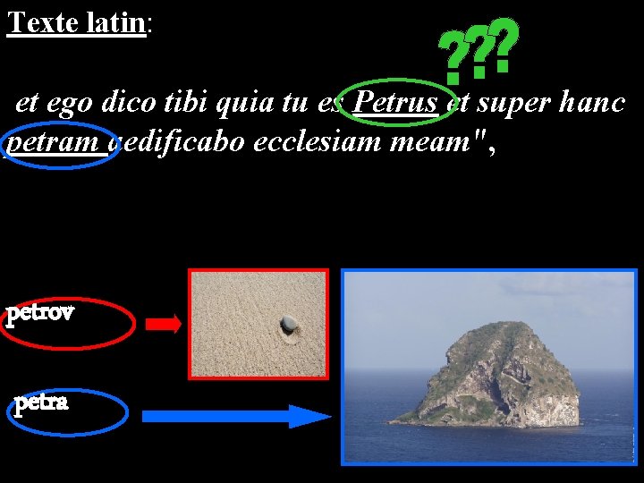 Texte latin: et ego dico tibi quia tu es Petrus et super hanc petram