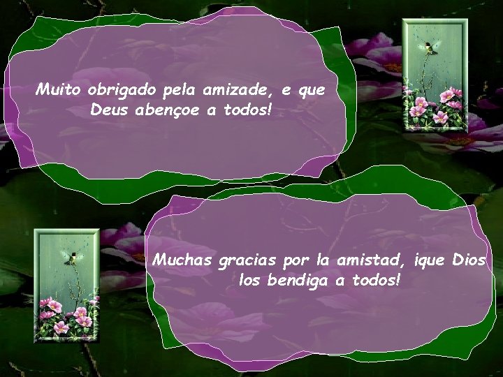 Muito obrigado pela amizade, e que Deus abençoe a todos! Muchas gracias por la