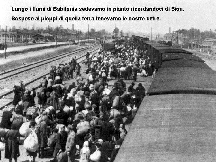 Lungo i fiumi di Babilonia sedevamo in pianto ricordandoci di Sion. Sospese ai pioppi