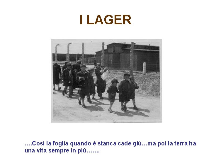 I LAGER …. Così la foglia quando è stanca cade giù…ma poi la terra