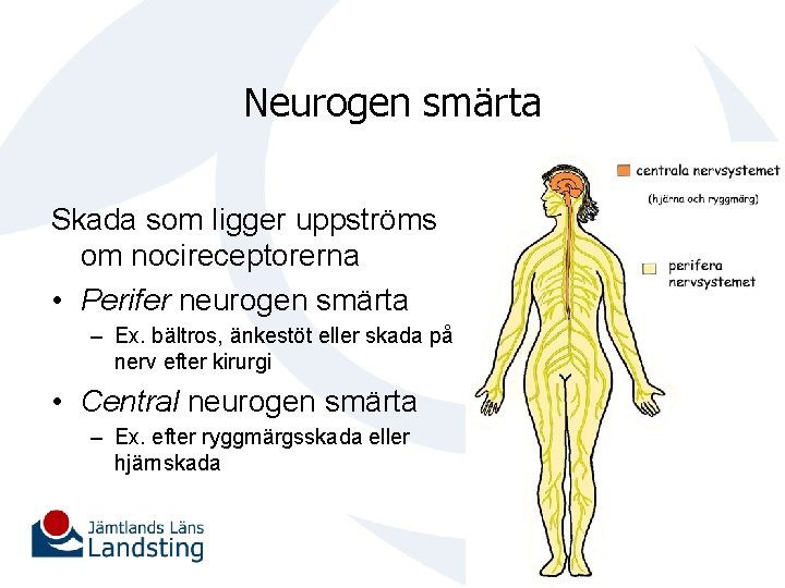 Neurogen smärta Skada som ligger uppströms om nocireceptorerna • Perifer neurogen smärta – Ex.