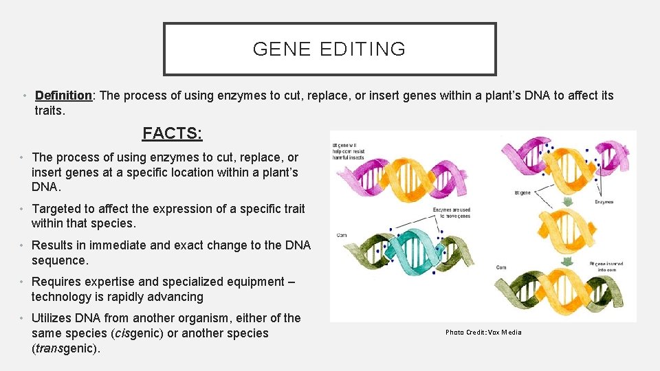 GENE EDITING • Definition: The process of using enzymes to cut, replace, or insert