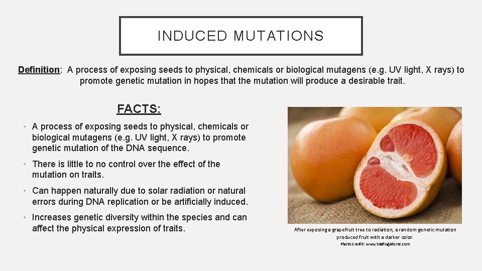 INDUCED MUTATIONS Definition: A process of exposing seeds to physical, chemicals or biological mutagens