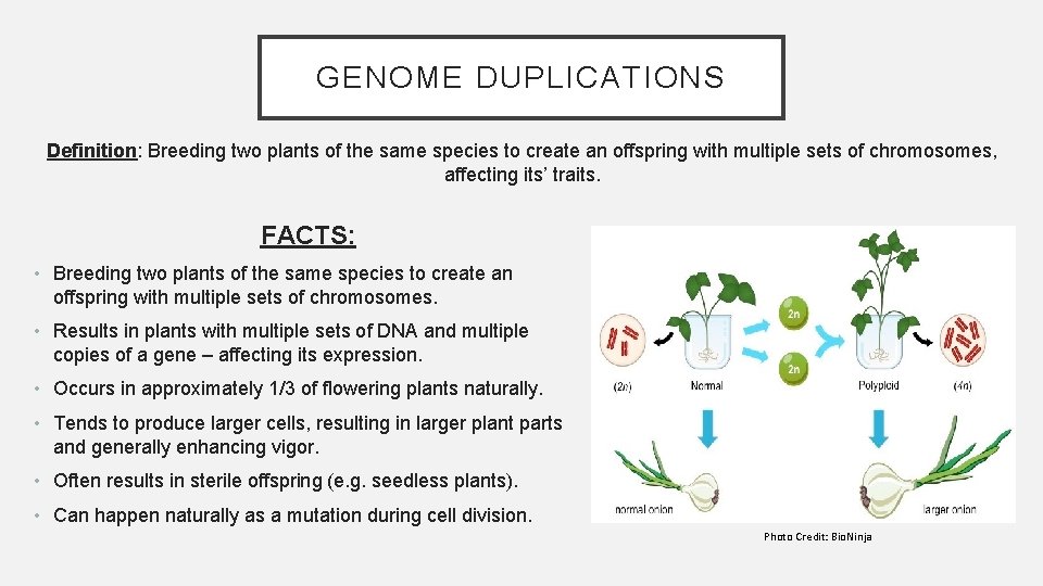 GENOME DUPLICATIONS Definition: Breeding two plants of the same species to create an offspring