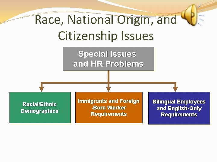 Race, National Origin, and Citizenship Issues Special Issues and HR Problems Racial/Ethnic Demographics Immigrants