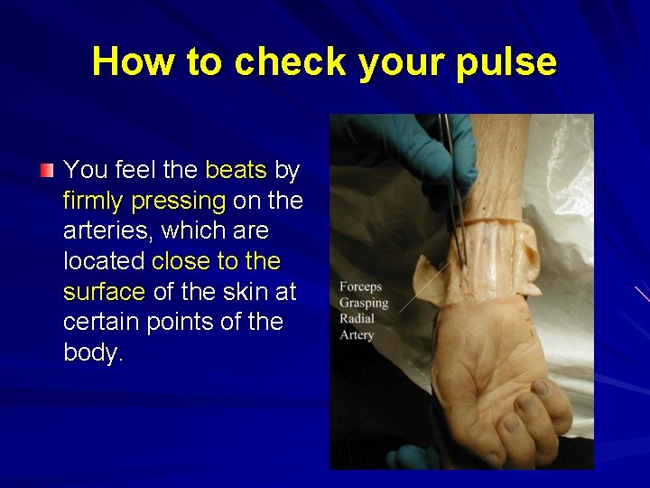 How to check your pulse You feel the beats by firmly pressing on the