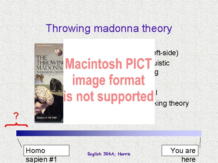 Throwing madonna theory • Nursing (left-side) • Motor/linguistic sequencing • Structural • Non-lexical •