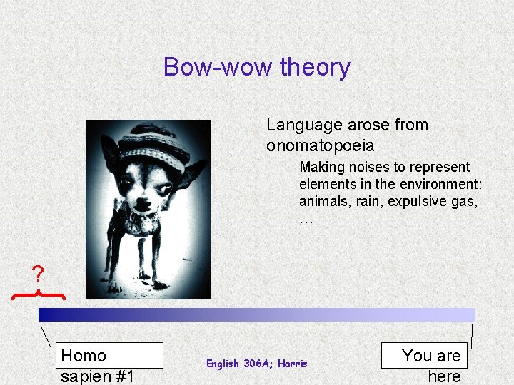 Bow-wow theory Language arose from onomatopoeia Making noises to represent elements in the environment: