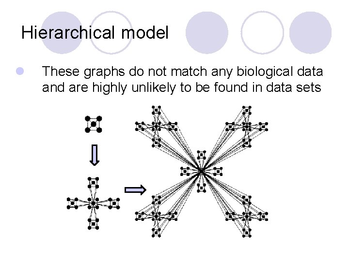 Hierarchical model l These graphs do not match any biological data and are highly Hierarchical model l These graphs do not match any biological data and are highly