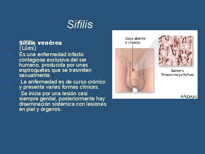 Sifilis I. l l l Sífilis venérea (Lúes) Es una enfermedad infecto contagiosa exclusiva