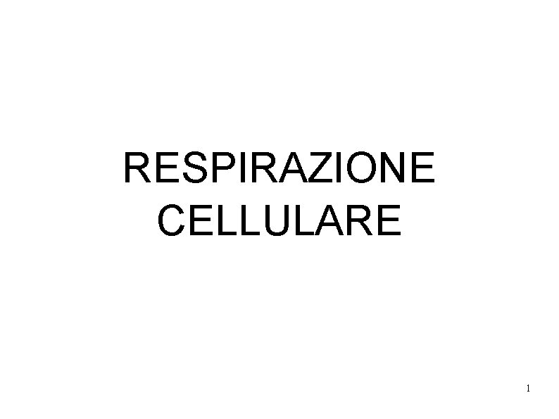 RESPIRAZIONE CELLULARE 1 