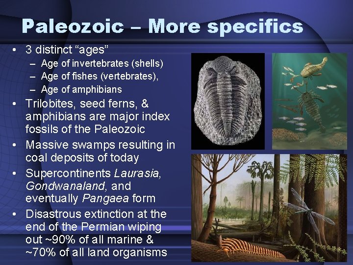 Paleozoic – More specifics • 3 distinct “ages” – Age of invertebrates (shells) –