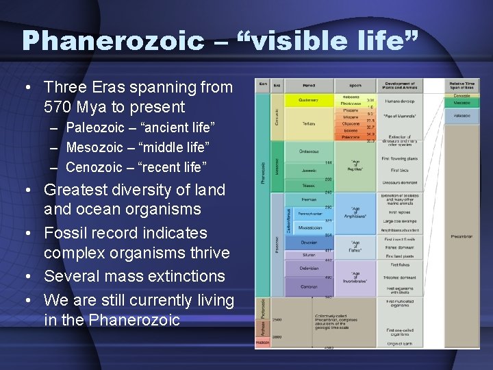 Phanerozoic – “visible life” • Three Eras spanning from 570 Mya to present –