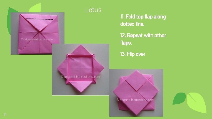 Lotus 11. Fold top flap along dotted line. 12. Repeat with other flaps. 13.