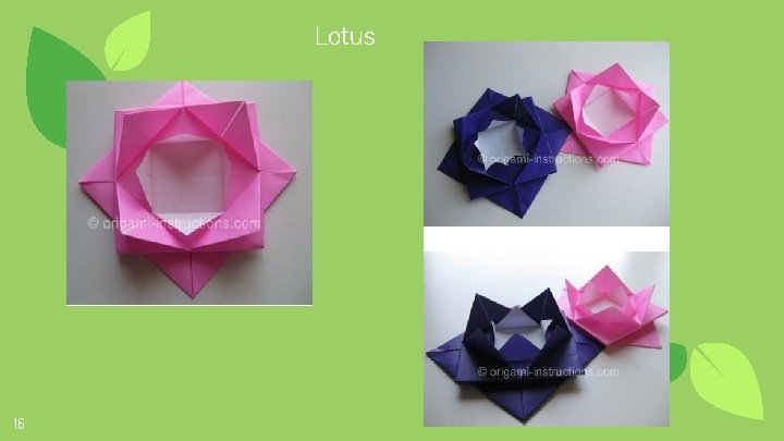 Lotus 16 