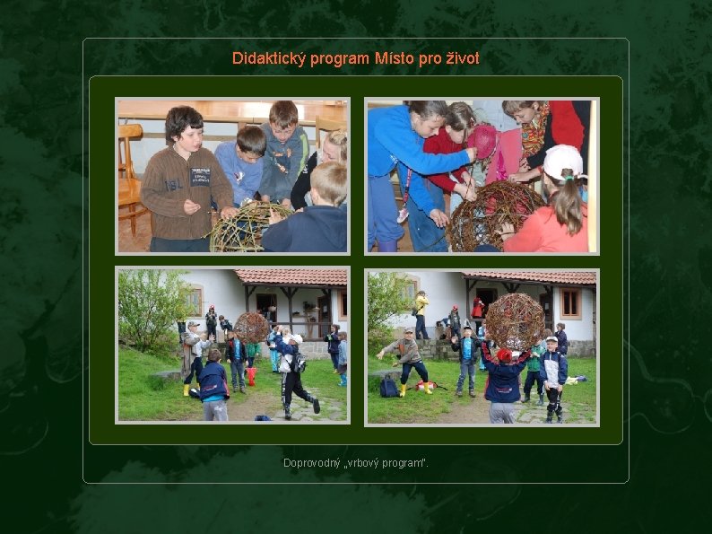 Didaktický program Místo pro život Doprovodný „vrbový program“. 