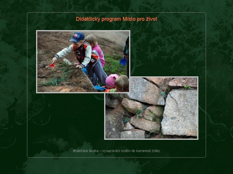 Didaktický program Místo pro život Mateřská školka – vysazování rostlin do kamenné zídky 