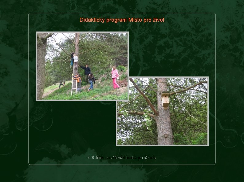 Didaktický program Místo pro život 4. -5. třída - zavěšování budek pro sýkorky 