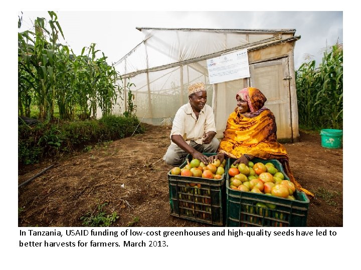 In Tanzania, USAID funding of low-cost greenhouses and high-quality seeds have led to better