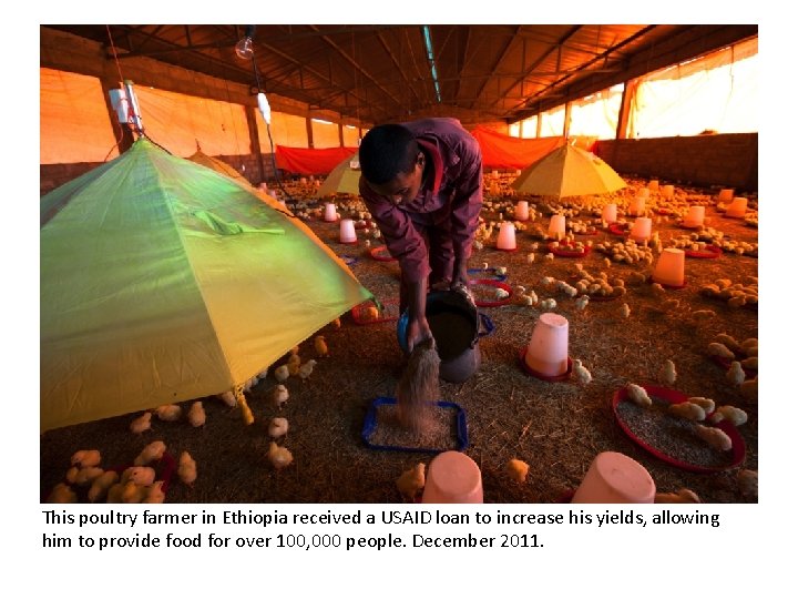 This poultry farmer in Ethiopia received a USAID loan to increase his yields, allowing