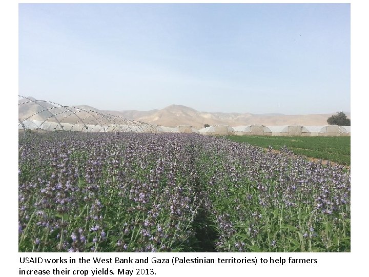 USAID works in the West Bank and Gaza (Palestinian territories) to help farmers increase