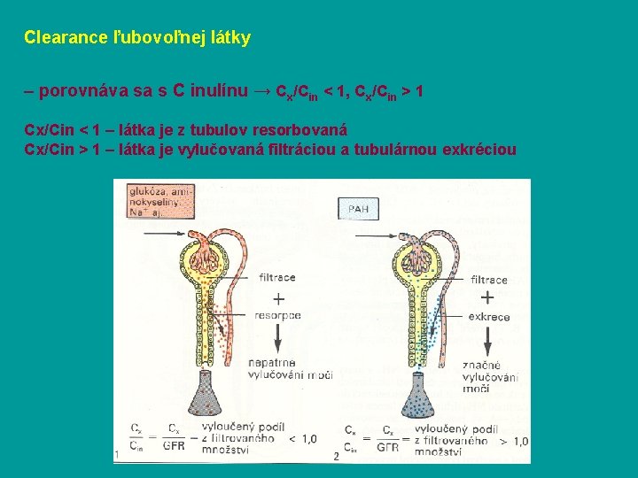 Clearance ľubovoľnej látky – porovnáva sa s C inulínu → Cx/Cin < 1, Cx/Cin
