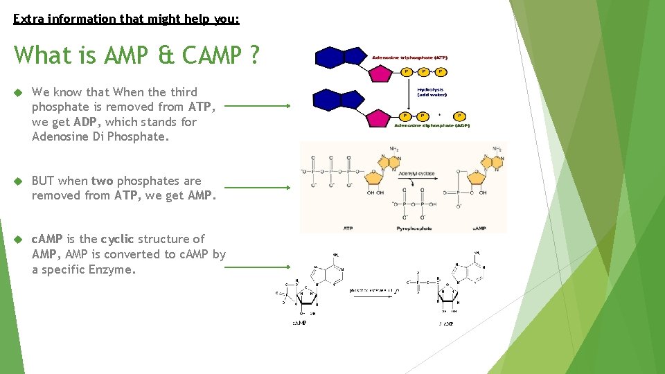 Extra information that might help you: What is AMP & CAMP ? We know