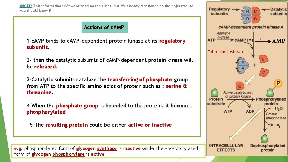 #NOTE: This information isn’t mentioned on the slides, but it’s already mentioned on the