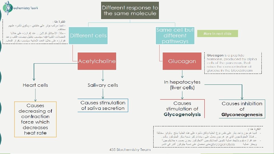 More in next slide 