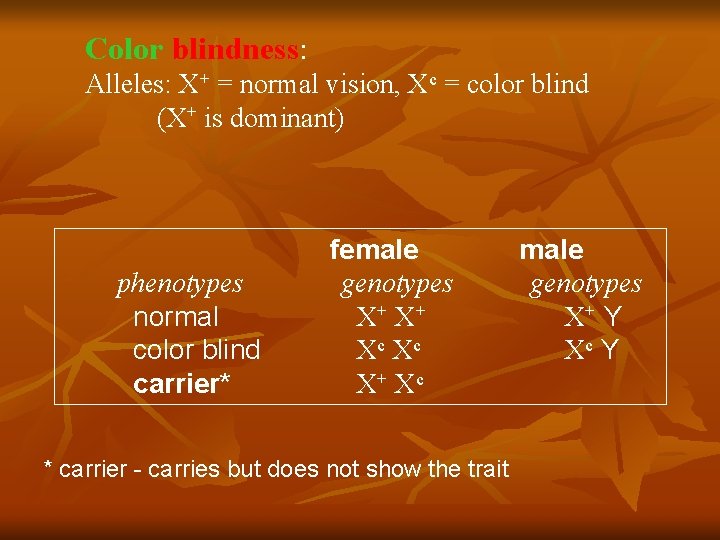 Color blindness: Alleles: X+ = normal vision, Xc = color blind (X+ is dominant)