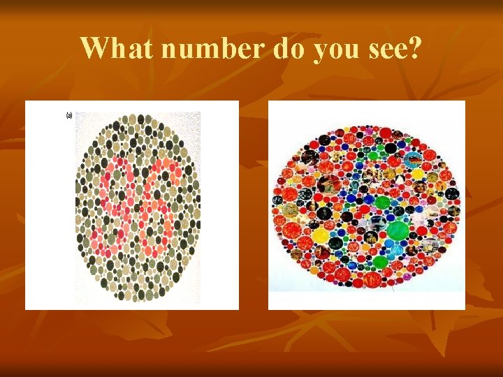 What number do you see? 