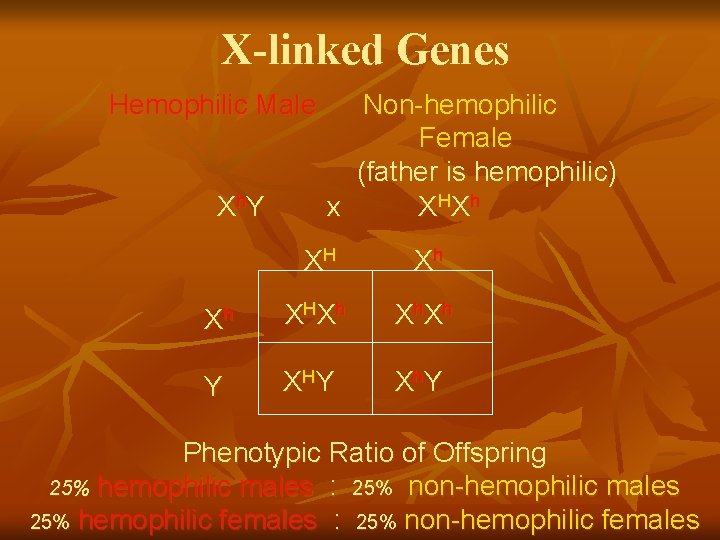 X-linked Genes Hemophilic Male X h. Y Non-hemophilic Female (father is hemophilic) x X