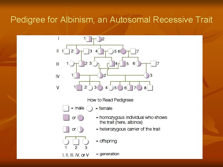 Pedigree for Albinism, an Autosomal Recessive Trait 