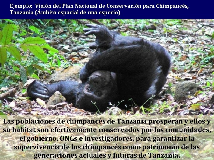 Ejemplo: Visión del Plan Nacional de Conservación para Chimpancés, Tanzania (Ámbito espacial de una