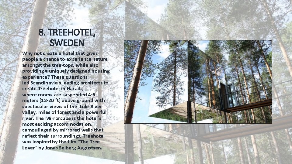 8. TREEHOTEL, SWEDEN Why not create a hotel that gives people a chance to