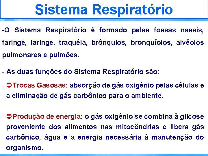 Sistema Respiratório -O Sistema Respiratório é formado pelas fossas nasais, faringe, laringe, traquéia, brônquios,