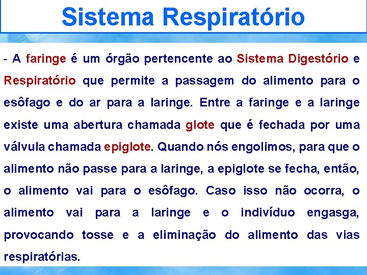 Sistema Respiratório - A faringe é um órgão pertencente ao Sistema Digestório e Respiratório