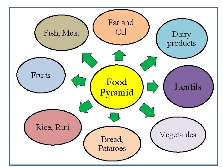 Fish, Meat Fruits Fat and Oil Food Pyramid Rice, Ruti Bread, Patatoes Dairy products
