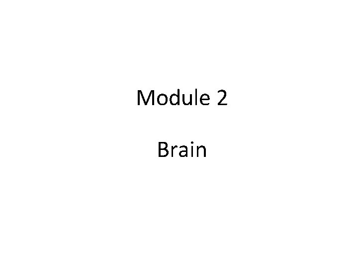 Module 2 Brain 