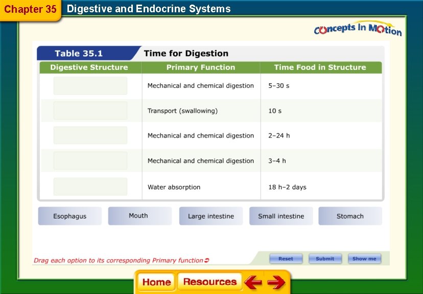 Chapter 35 Digestive and Endocrine Systems 