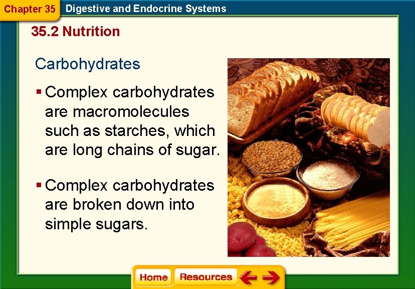Chapter 35 Digestive and Endocrine Systems 35. 2 Nutrition Carbohydrates § Complex carbohydrates are
