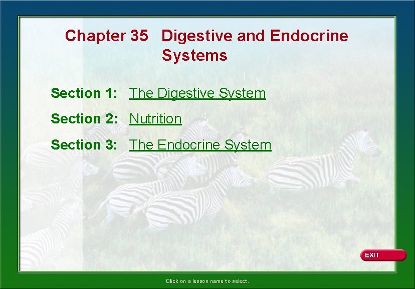 Chapter 35 Digestive and Endocrine Systems Section 1: The Digestive System Section 2: Nutrition