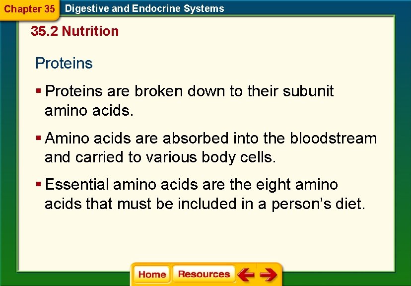 Chapter 35 Digestive and Endocrine Systems 35. 2 Nutrition Proteins § Proteins are broken