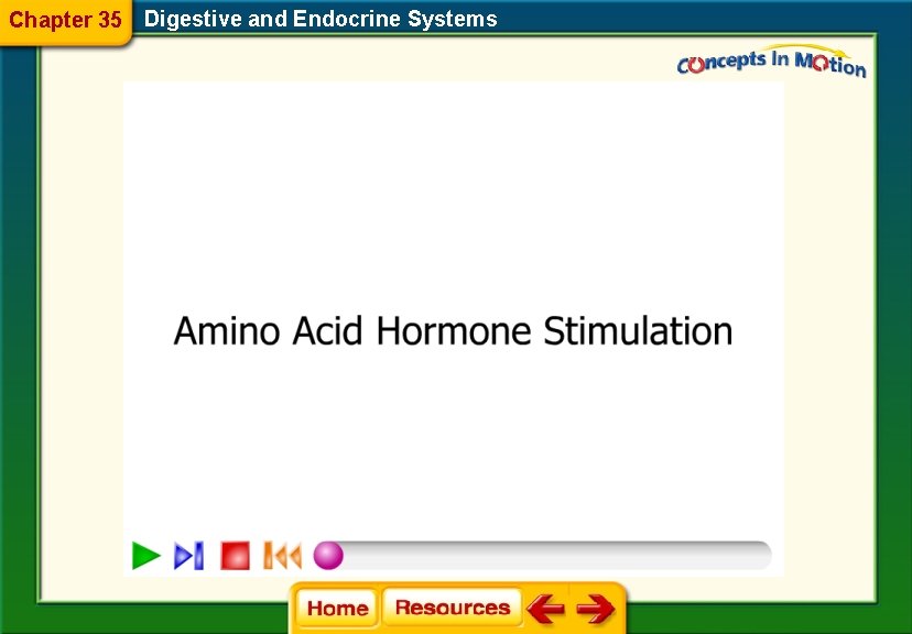 Chapter 35 Digestive and Endocrine Systems 