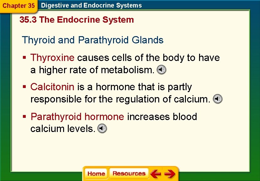 Chapter 35 Digestive and Endocrine Systems 35. 3 The Endocrine System Thyroid and Parathyroid