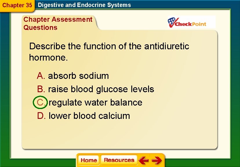 Chapter 35 Digestive and Endocrine Systems Chapter Assessment Questions Describe the function of the