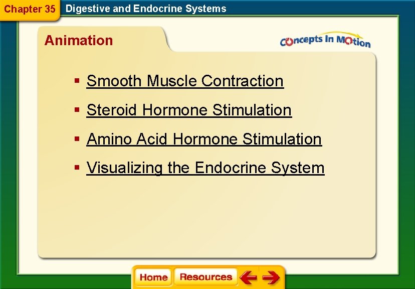 Chapter 35 Digestive and Endocrine Systems Animation § Smooth Muscle Contraction § Steroid Hormone