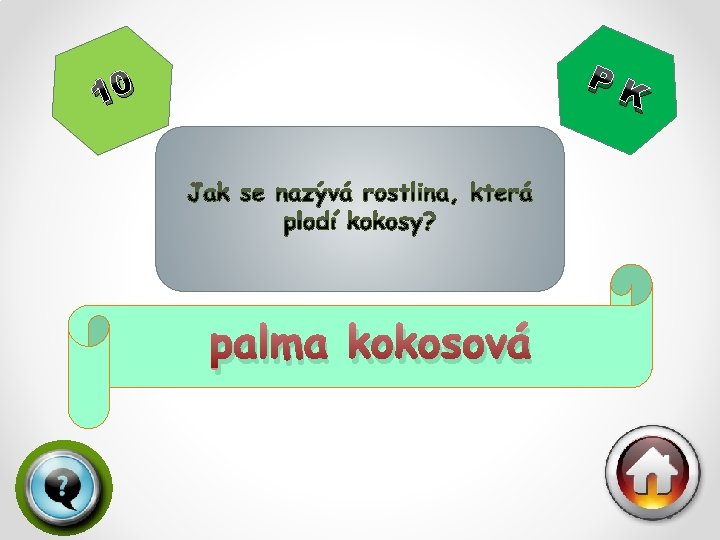 PK 10 palma kokosová 