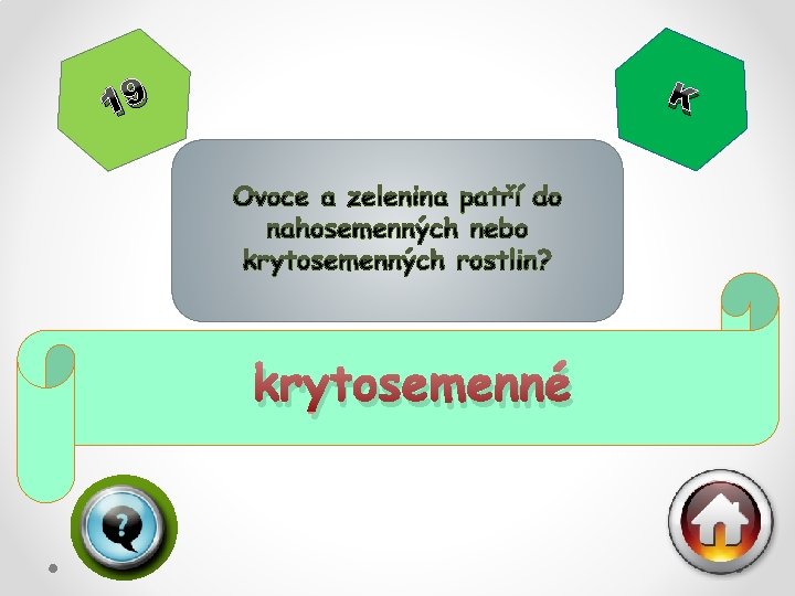 K 19 krytosemenné 