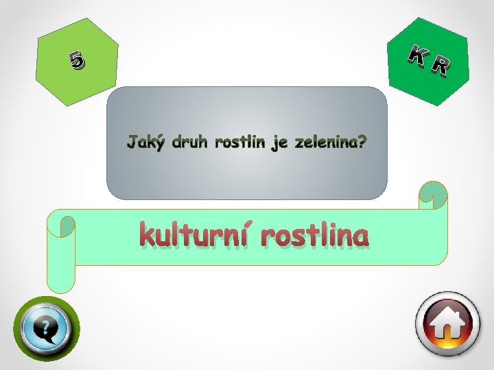 KR 5 kulturní rostlina 